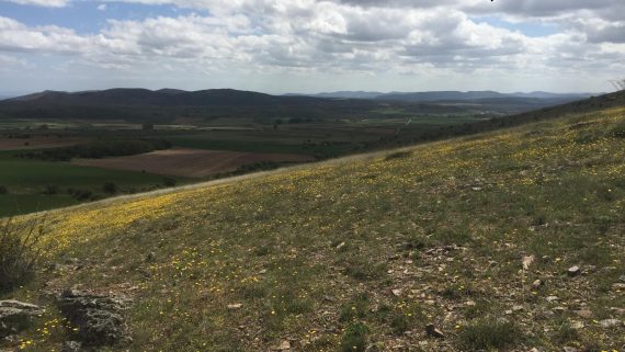 WhatsApp Image 2025-05-20 at 11.00.23