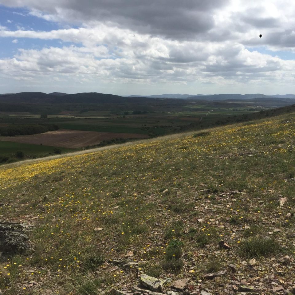 WhatsApp Image 2025-05-20 at 11.00.23