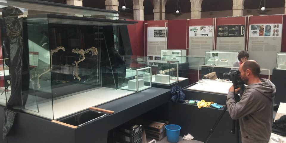 WhatsApp Image 2025-05-20 at 11.11.46